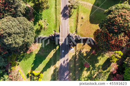 Aerial view of Ancient bali gate with pathway Aerial view of Ancient bali gate with pathway 45591623