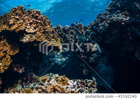 Underwater rocks with coral reef in ocean 45592240