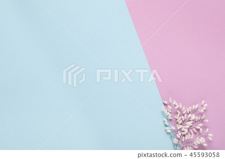 pearl necklace on a blue and pink background 45593058