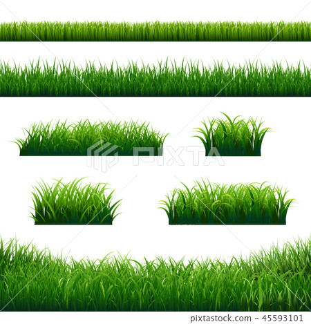 Green Grass Borders Big Set 45593101