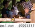Jumping out "Momokano Suri" 45593335