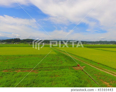 Rice field ~ Aerial photograph with drone (Kunida Basin / Zao-machi Kariya-gun Miyagi prefecture) Rice field ~ Aerial photograph with drone (Kunida Basin / Zao-machi Kariya-gun Miyagi prefecture) 45593443