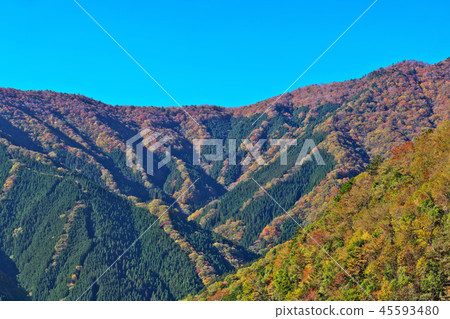［名鄉谷秋葉］（高分辨率版）奈良縣吉野郡上北山村西原 45593480