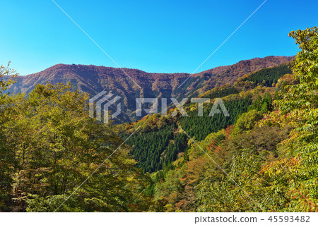 ［名鄉谷秋葉］（高分辨率版）奈良縣吉野郡上北山村西原 45593482