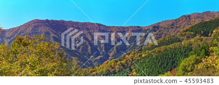 ［名鄉谷秋葉］（高分辨率版）奈良縣吉野郡上北山村西原 45593483