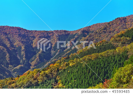 [Autumn Leaves of Namego Valley] (High resolution version) Nishihara, Kamikitayama Village, Yoshino-gun, Nara Prefecture 45593485