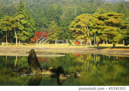 Autumn leaves of Motsuji 45595301