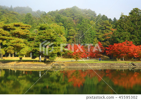 Motsuji秋葉 Motsuji秋葉 45595302