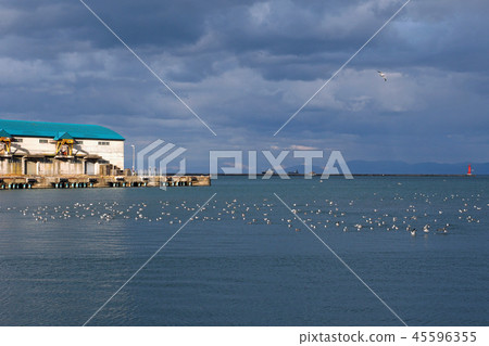 港口風光 45596355