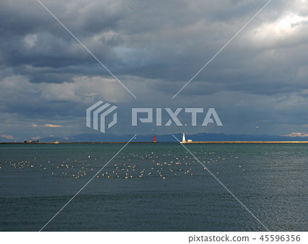 港口風光 45596356