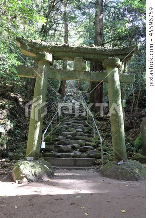 熊野一筆大佛 熊野一筆大佛 45596759