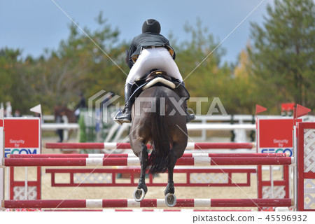 Show Jumping Competition 45596932