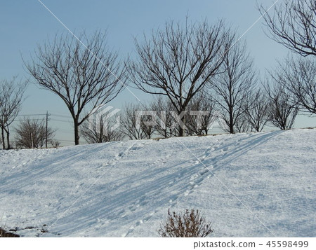 在一個多雪的風景的腳印與好天氣 45598499