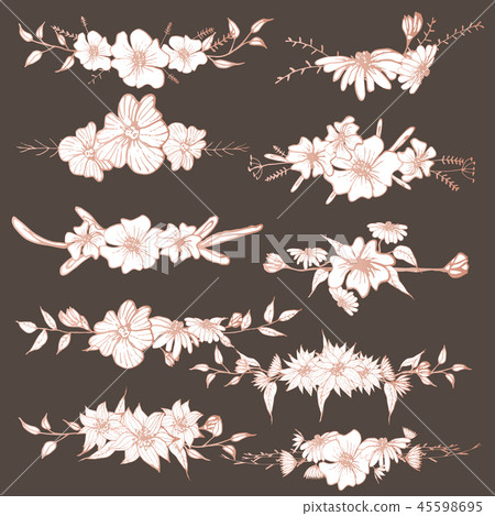 Hand drawn flowers, Botanical decorative element 45598695