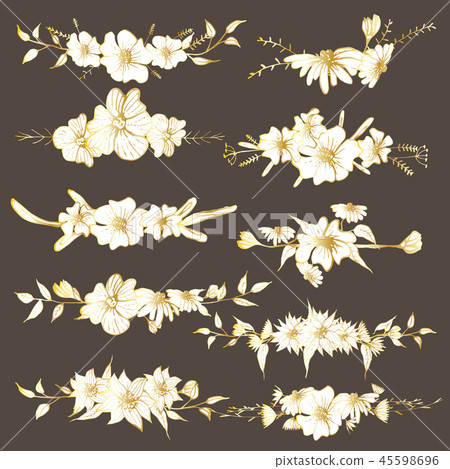 Hand drawn flowers, Botanical decorative element 45598696