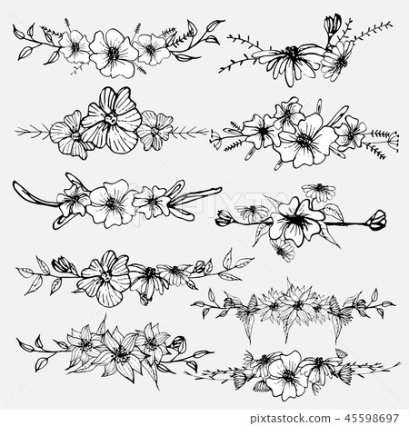 Hand drawn flowers, Botanical decorative element Hand drawn flowers, Botanical decorative element 45598697