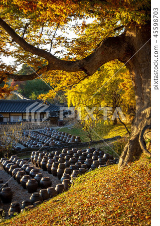 Myeongjae高中2 45598703