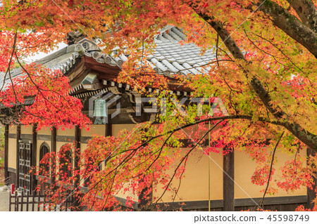 Nanzenji Autumn leaves 45598749
