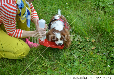 Cavi drinking water Cavi drinking water 45598775