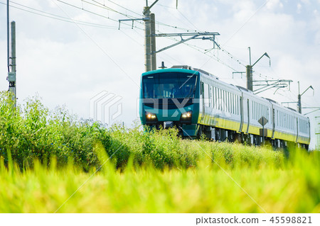 Resort slander Resort slander 45598821