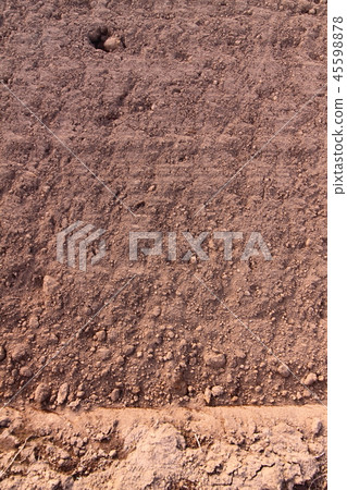 Field Flat Soil Vertical Field Flat Soil Vertical 45598878