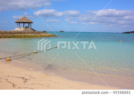 沖繩恩納海濱公園納維海灘 沖繩恩納海濱公園納維海灘 45598891