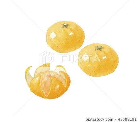 Tangerine mandarin orange 45599191