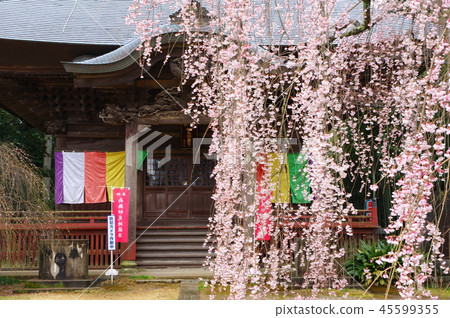 Eifuku-ji寺(千葉市) Eifuku-ji寺(千葉市) 45599355