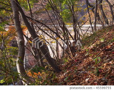 Eye bridge third eye bridge (Gunma Prefecture Annaka City Matsuidamachi Sakamoto) 45599755