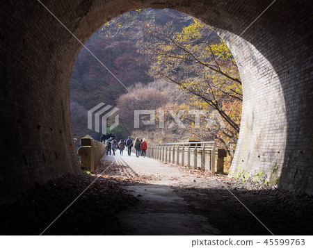 眼橋3號橋(群馬縣安中市松田町坂本) 眼橋3號橋(群馬縣安中市松田町坂本) 45599763