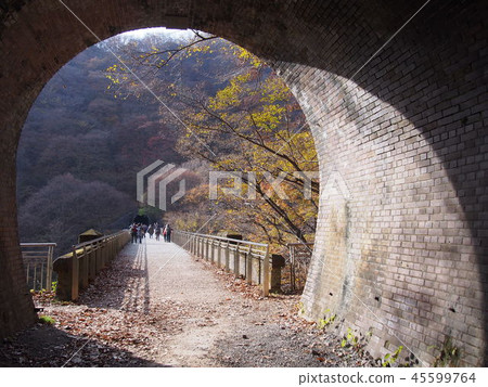 Eye bridge third eye bridge (Gunma Prefecture Annaka City Matsuidamachi Sakamoto) Eye bridge third eye bridge (Gunma Prefecture Annaka City Matsuidamachi Sakamoto) 45599764