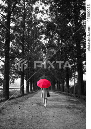 Metasequoile way 45600018