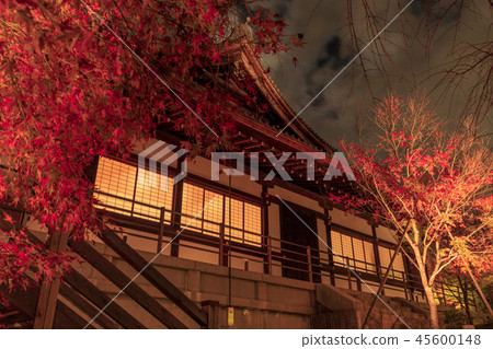 Shogun Tsuka秋葉照亮 Shogun Tsuka秋葉照亮 45600148