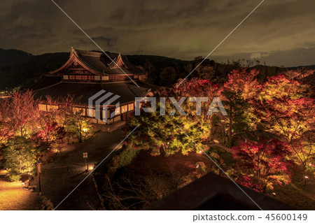 Shogun Tsuka autumn leaves light up Shogun Tsuka autumn leaves light up 45600149