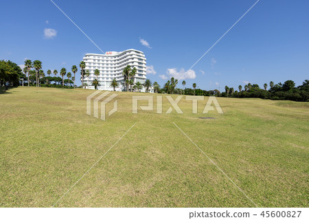 濟州島 濟州島 45600827