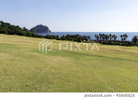 濟州島 濟州島 45600828