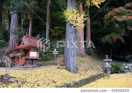 Shizuyama神社在秋天 Shizuyama神社在秋天 45600859
