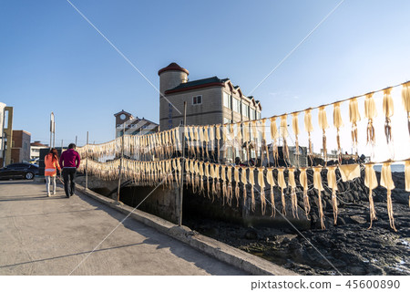 Jeju Island 45600890