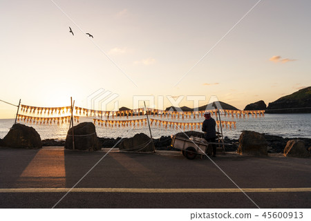 濟州島 濟州島 45600913