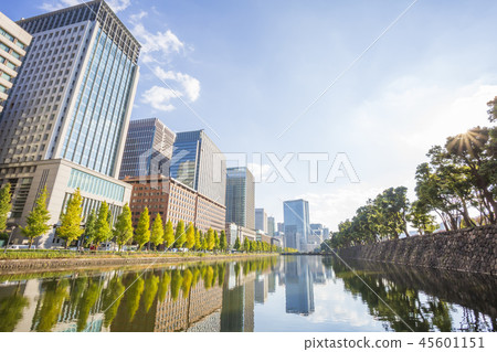 東京皇宮和丸之內大廈街：護城河和反思 45601151