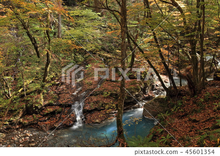 Waterfall of Nojin 45601354