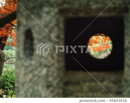 Round window fall 45601616