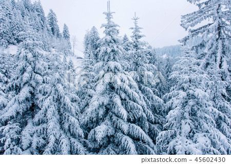 Winter landscape in the mountains. 45602430