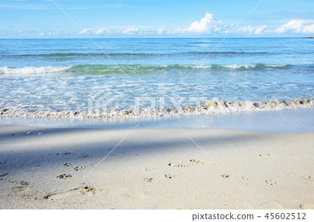 Sand beach in summer. 45602512