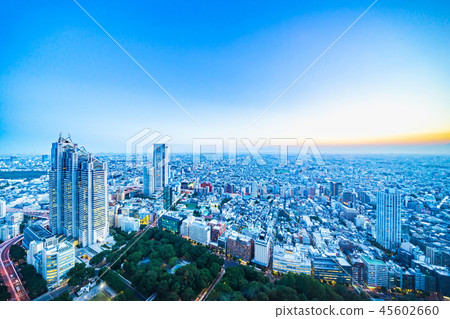 skyline night view of shinjuku in Tokyo, Japan 45602660