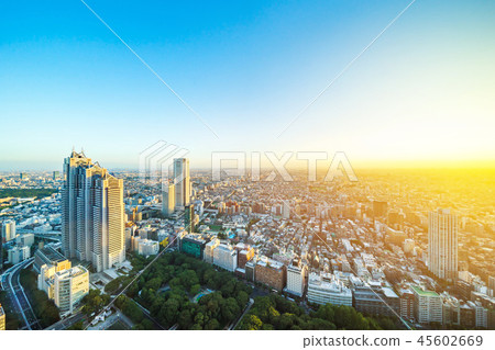 skyline night view of shinjuku in Tokyo, Japan skyline night view of shinjuku in Tokyo, Japan 45602669