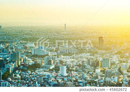 skyline aerial view of shinjuku in Tokyo, Japan skyline aerial view of shinjuku in Tokyo, Japan 45602672