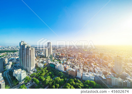 skyline aerial view of shinjuku in Tokyo, Japan skyline aerial view of shinjuku in Tokyo, Japan 45602674