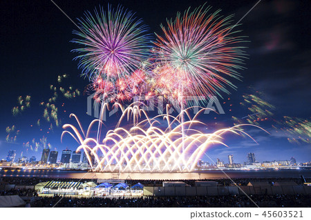 [大阪府]浪速淀川煙花節 45603521