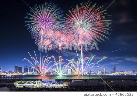 [大阪府]浪速淀川煙花節 45603522